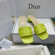 Christian Dior Slippers